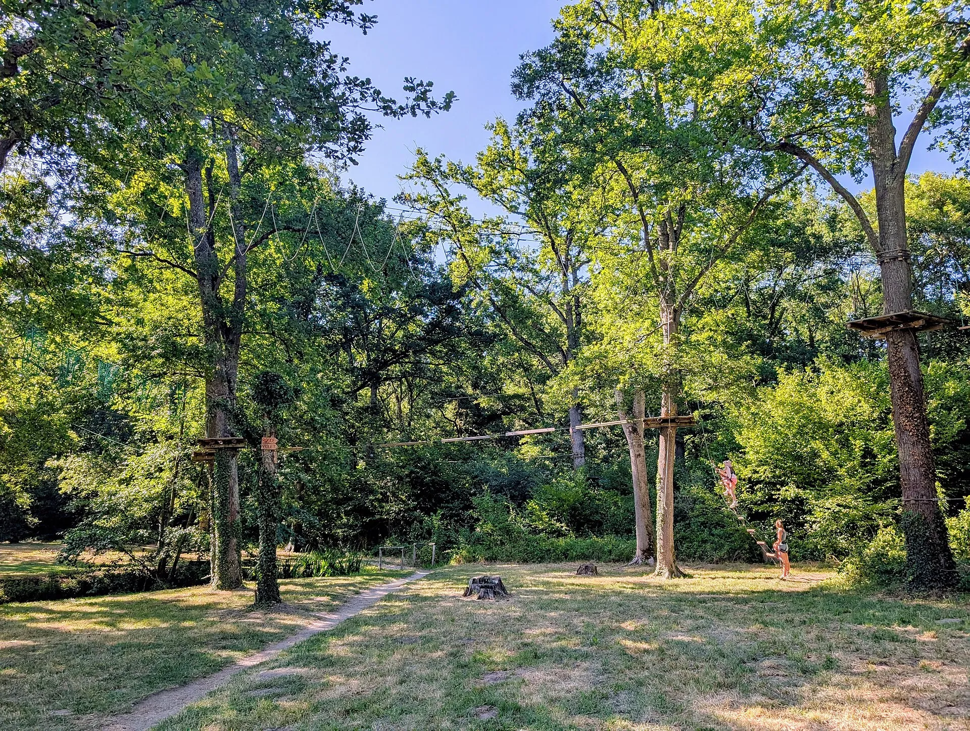 Parcours d’accrobranche suspendu entre de grands arbres