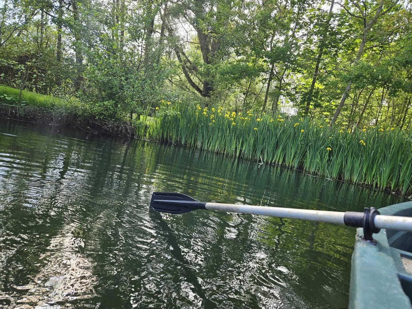 La vue sur l’étang depuis la barque entre les roseaux